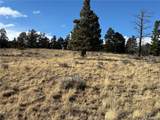 310 Morley Pl - Photo 26