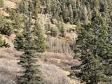 310 Morley Pl - Photo 35