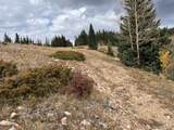 6557 Schlueter Rd - Photo 13