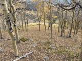 6557 Schlueter Rd - Photo 17