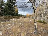 6557 Schlueter Rd - Photo 20