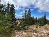 6557 Schlueter Rd - Photo 22