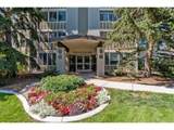 705 Alton Way - Photo 10