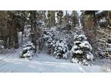 5540 Joy Rd - Photo 2