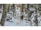 5540 Joy Rd - Photo 7