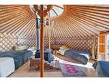 3490 Clear Creek Rd - Photo 15
