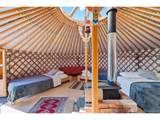 3490 Clear Creek Rd - Photo 16