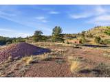 3490 Clear Creek Rd - Photo 31