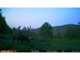 591599 Soul Shine Rd - Photo 11