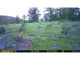 591599 Soul Shine Rd - Photo 12