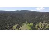 591599 Soul Shine Rd - Photo 28