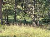 591599 Soul Shine Rd - Photo 29