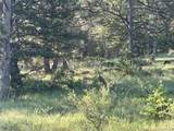 591599 Soul Shine Rd - Photo 30