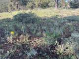 591599 Soul Shine Rd - Photo 33