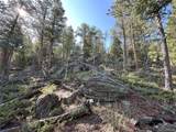 591599 Soul Shine Rd - Photo 37