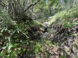 591599 Soul Shine Rd - Photo 45
