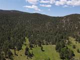 591599 Soul Shine Rd - Photo 6