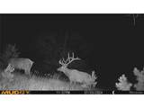 591599 Soul Shine Rd - Photo 8
