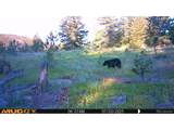 591599 Soul Shine Rd - Photo 9