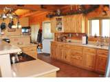 218 Quarter Horse - Photo 10