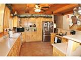 218 Quarter Horse - Photo 11