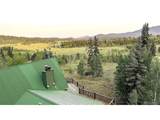 218 Quarter Horse - Photo 5