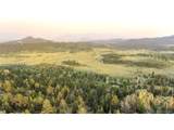218 Quarter Horse - Photo 6