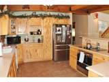 218 Quarter Horse - Photo 8