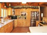 218 Quarter Horse - Photo 9