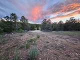 3152 Indian Wells Rd - Photo 6