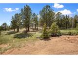 1011 Bison Creek Trl - Photo 7