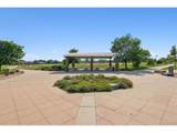 4645 135th Ave - Photo 30