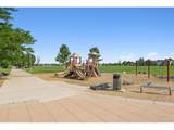 4645 135th Ave - Photo 31