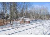 546 Alpine Meadows Ln - Photo 22