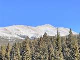 3362 Boreas Pass Rd - Photo 15