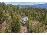 26262 Fern Gulch Rd - Photo 4