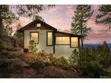 26262 Fern Gulch Rd - Photo 6