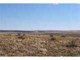  Homestead Loop - Photo 1