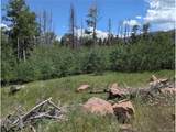 954 Forbes Park Rd - Photo 7