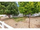 5834 Mt Shadows Blvd - Photo 28
