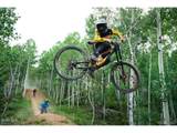  Wranglers Ct - Photo 23