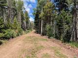 2379 Larry Pl - Photo 13