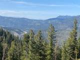 1695 Packsaddle Trl - Photo 4