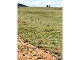 415 Andesite Way - Photo 16