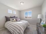 46597 Sunflower Ln - Photo 19