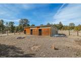 345 Meadow Ln - Photo 33