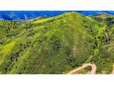 38 Raspberry Mountain Ranch - Photo 2