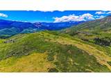38 Raspberry Mountain Ranch - Photo 5
