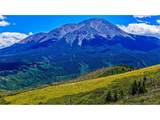 38 Raspberry Mountain Ranch - Photo 8