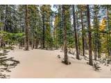 343 Sunshine Dr - Photo 25